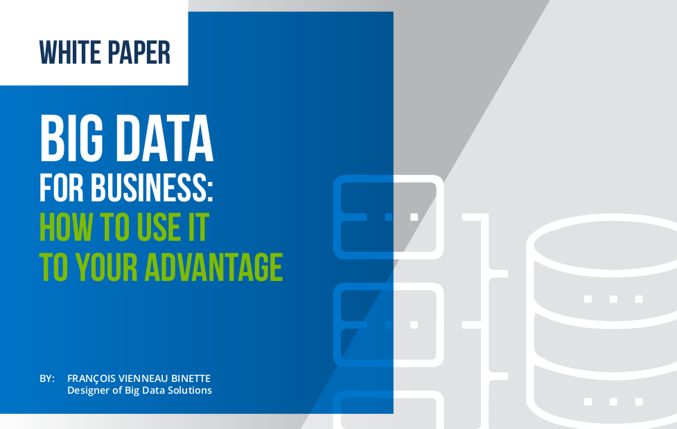 Big Data Whitepaper Cover Image in English