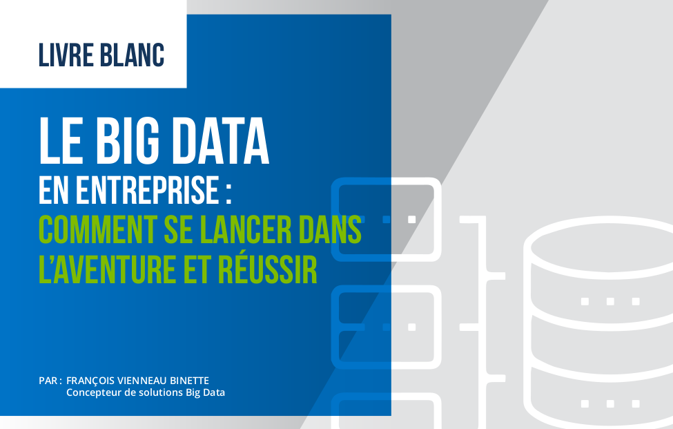 Big Data Whitepaper Cover Image in French